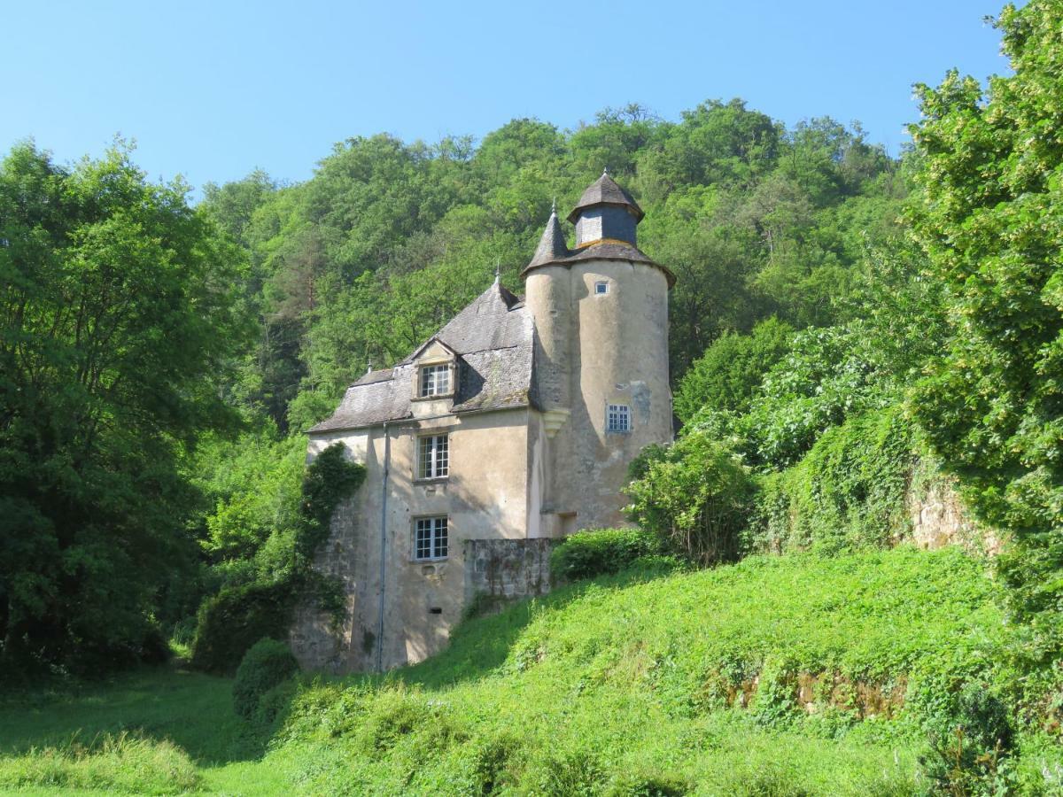 Chateau De Gaubert Bed and Breakfast Terrasson Exteriör bild