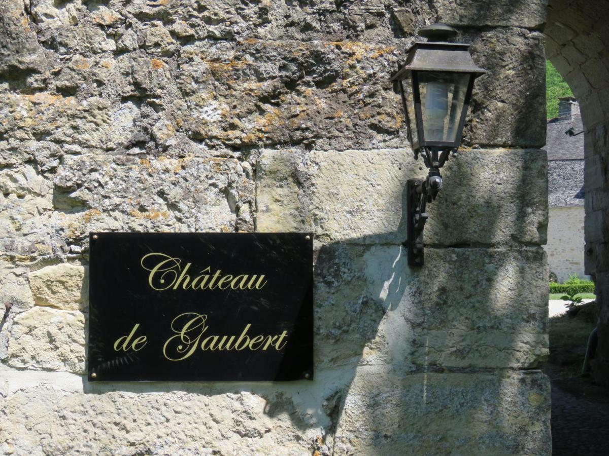 Chateau De Gaubert Bed and Breakfast Terrasson Exteriör bild